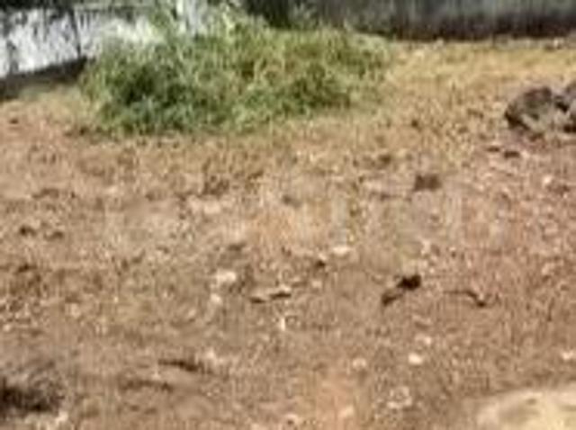 Land for sale in Bangalore North, Cox Town - Bangalore