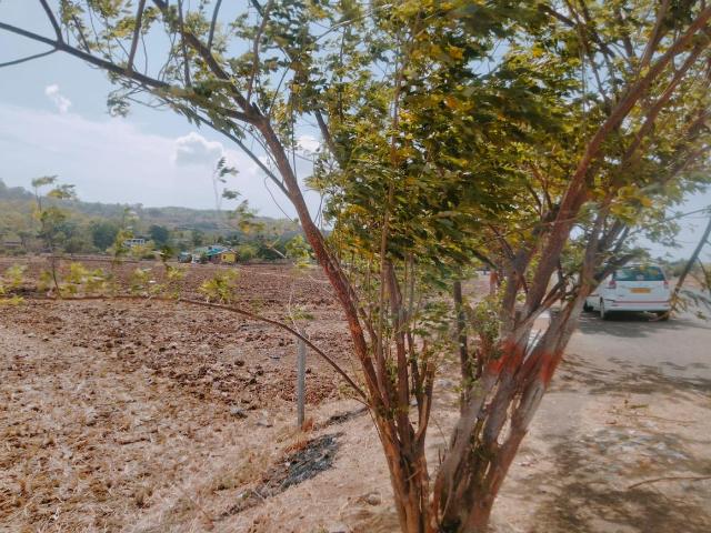 Land for sale in Bokadvira, National Capital Territory Of Delhi