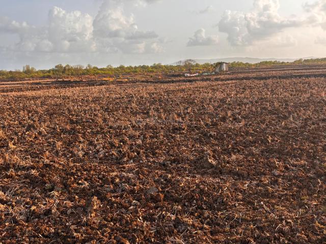 Land for sale in Bokadvira, National Capital Territory Of Delhi