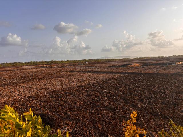 Land for sale in Bokadvira, National Capital Territory Of Delhi