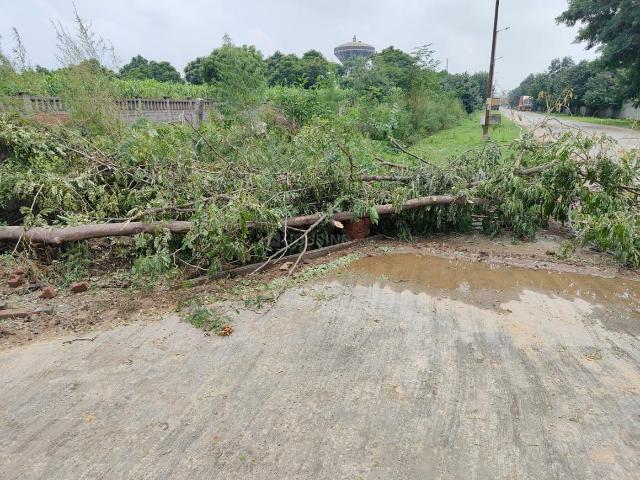 Land for sale in Dadha, Gautam Buddha Nagar