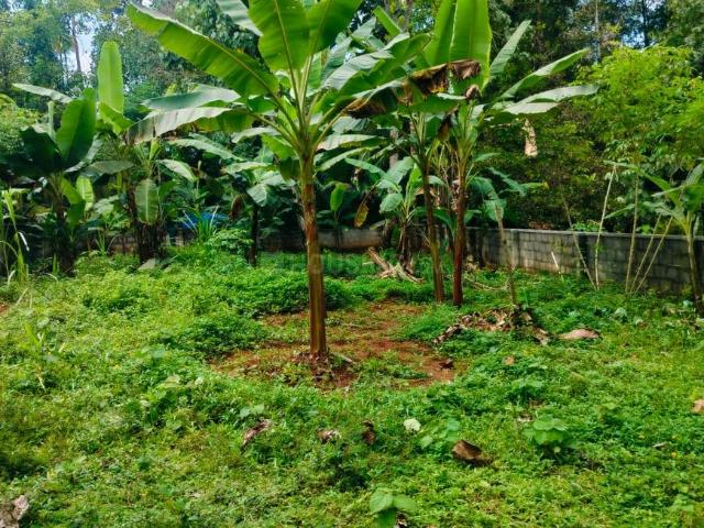 Land for sale in Kerala