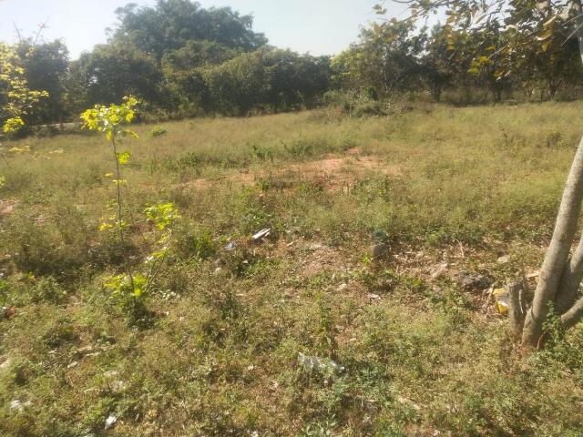 Land for sale in Bangalore South, Electronic City - Bangalore