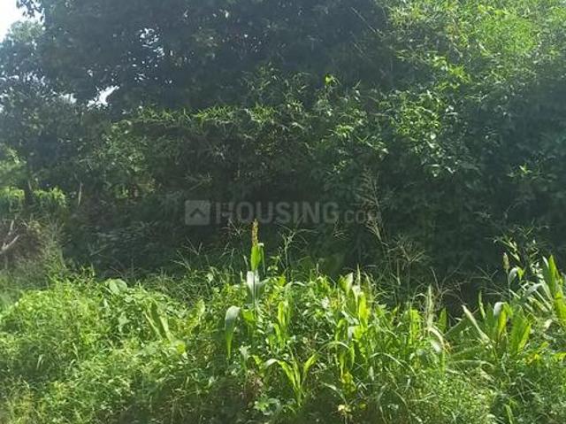 Land for sale in Thrippunithura, Kerala