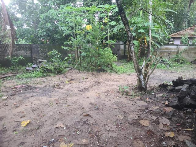 Land for sale in Thrippunithura, Kerala