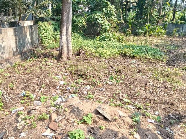 Land for sale in Thrippunithura, Kerala