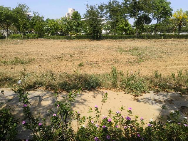 Land for sale in Hariana