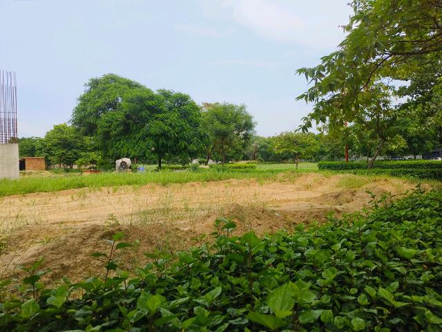 Land for sale in Hariana