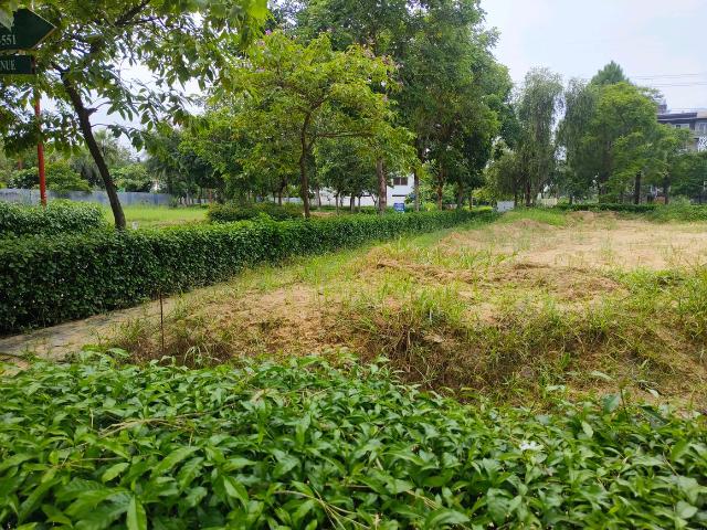 Land for sale in Hariana