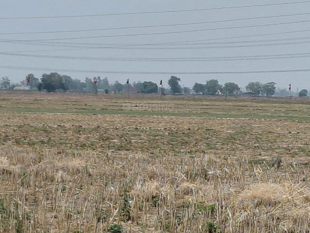 Land for sale in Sirhind, Punjab