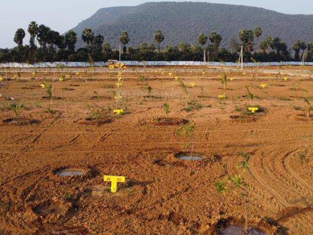 Land for sale in Gajapatinagaram, Vizianagaram