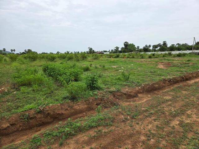 Land for sale in Gajapatinagaram, Vizianagaram