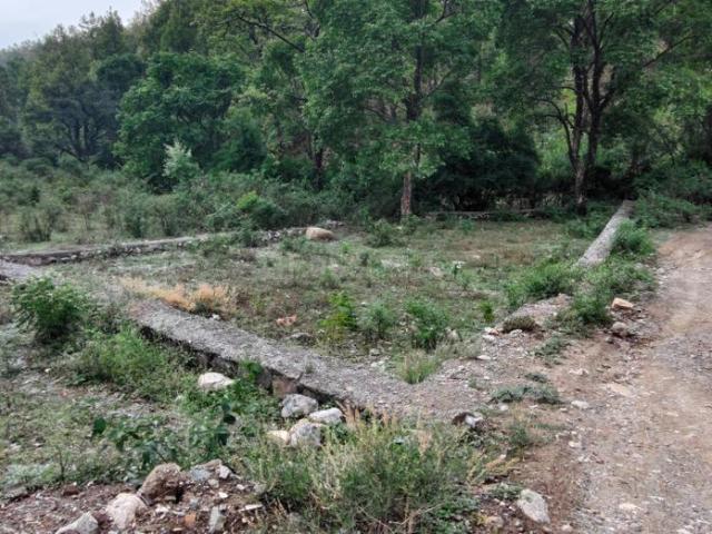 Land for sale in Kedarpur, Uttarakhand
