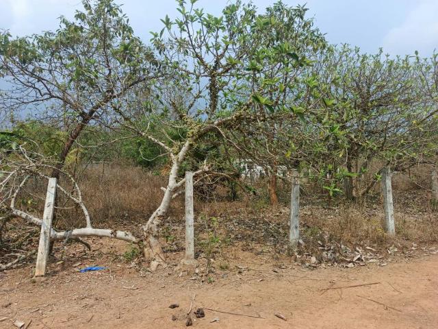 Land for sale in Andhra Pradesh