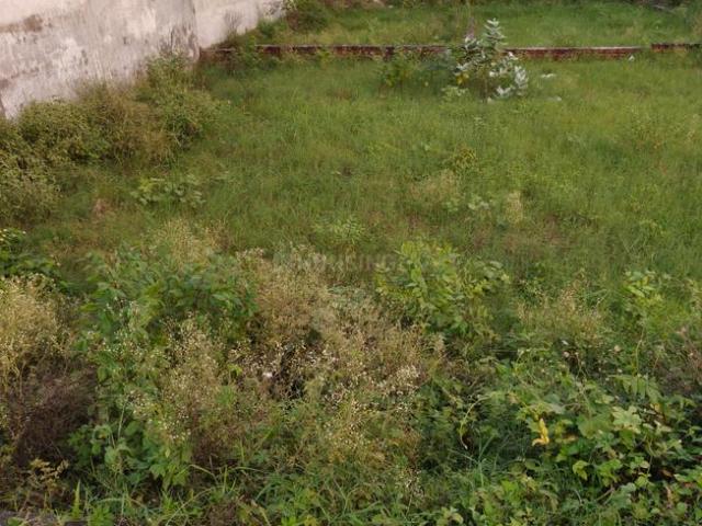 Land for sale in Jharli, Arunachal Pradesh