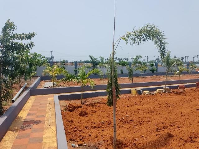 Land for sale in Ganguru, Krishna