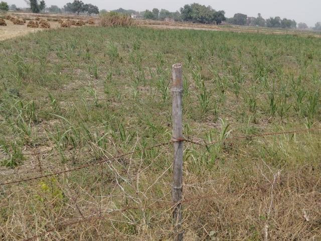 Land for sale in Faizabad, Ayodhya