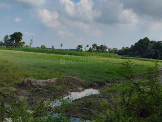 Land for sale in Faizabad, Ayodhya