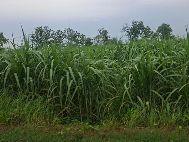 Land for sale in Garhmuktesar, Arunachal Pradesh