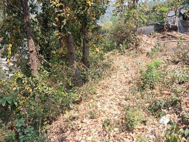 Land for sale in Kedarpur, Uttarakhand
