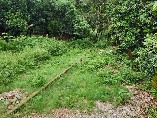 Land for sale in Kedarpur, Uttarakhand