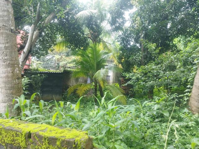 Land for sale in Balia, Rajpur Sonarpur