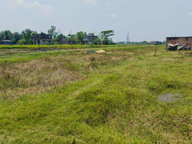 Land for sale in Balia, Rajpur Sonarpur