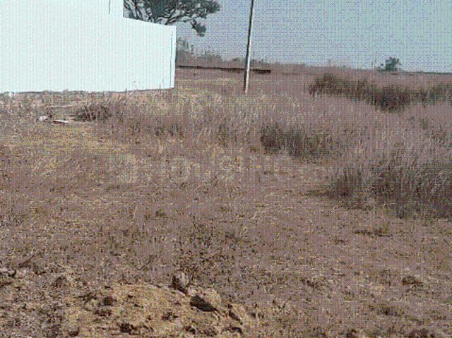 Land for sale in Kanke, Jharkhand