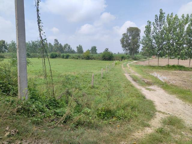 Land for sale in Chamrawali Ramgarh, Gautam Buddha Nagar