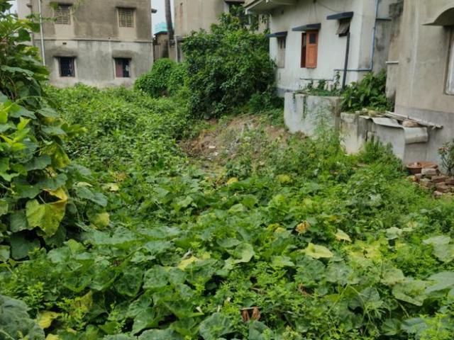 Land for sale in Bali, West Bengal