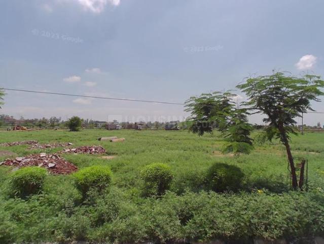 Land for sale in Baqarpur, Punjab