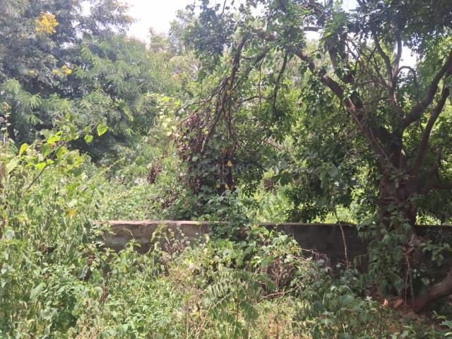Land for sale in Bangalore South, Cox Town - Bangalore