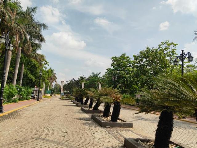 Land for sale in Madya