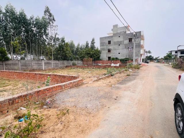 Land for sale in Lakhana, Arunachal Pradesh
