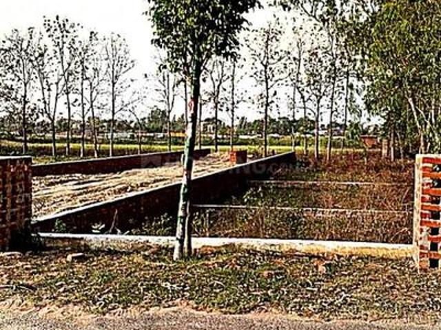 Land for sale in Lakhana, Arunachal Pradesh