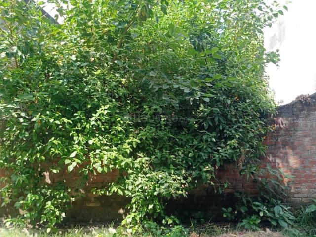 Land for sale in Arunachal Pradesh