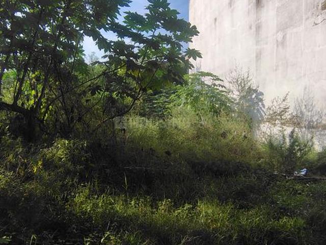 Land for sale in Arunachal Pradesh