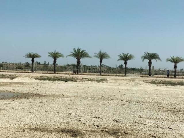 Land for sale in Mohanlalganj, Arunachal Pradesh