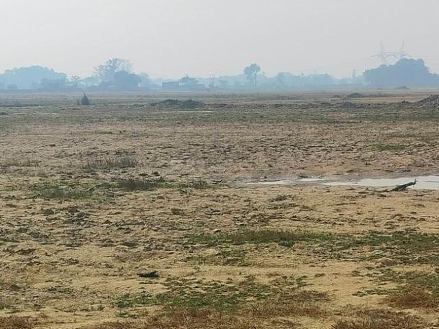 Land for sale in Mohanlalganj, Arunachal Pradesh