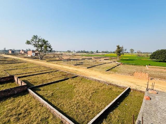 Land for sale in Mohanlalganj, Arunachal Pradesh