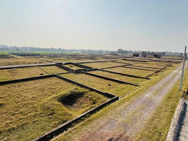Land for sale in Mohanlalganj, Arunachal Pradesh