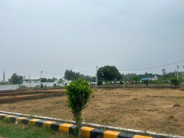 Land for sale in Mohanlalganj, Arunachal Pradesh