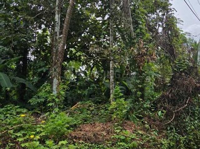 Land for sale in Kozhikode