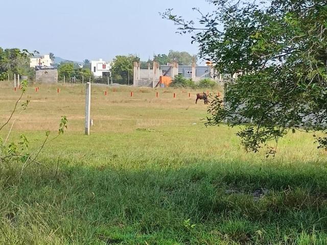 Land for sale in Guduvancheri, Tamil Nadu