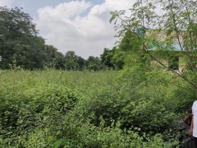 Land for sale in Gummidipundi, Tamil Nadu