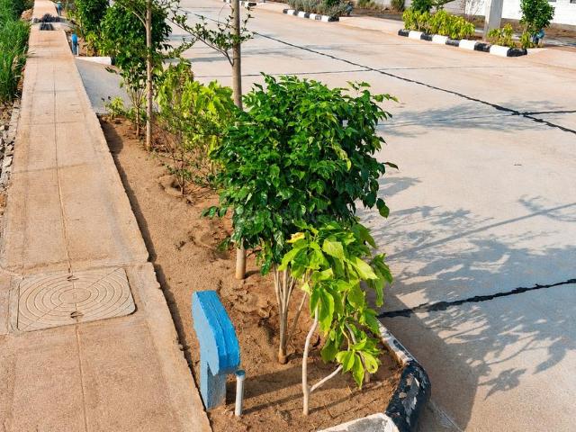 Land for sale in Vijayavada, Andhra Pradesh
