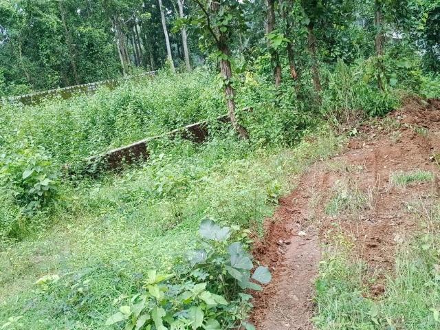 Land for sale in Jharkhand
