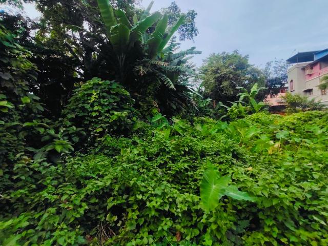 Land for sale in Rajpur, Rajpur Sonarpur