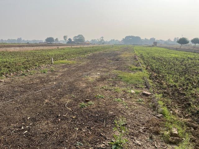 Land for sale in Bihar