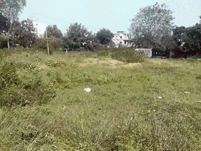 Land for sale in Jharkhand